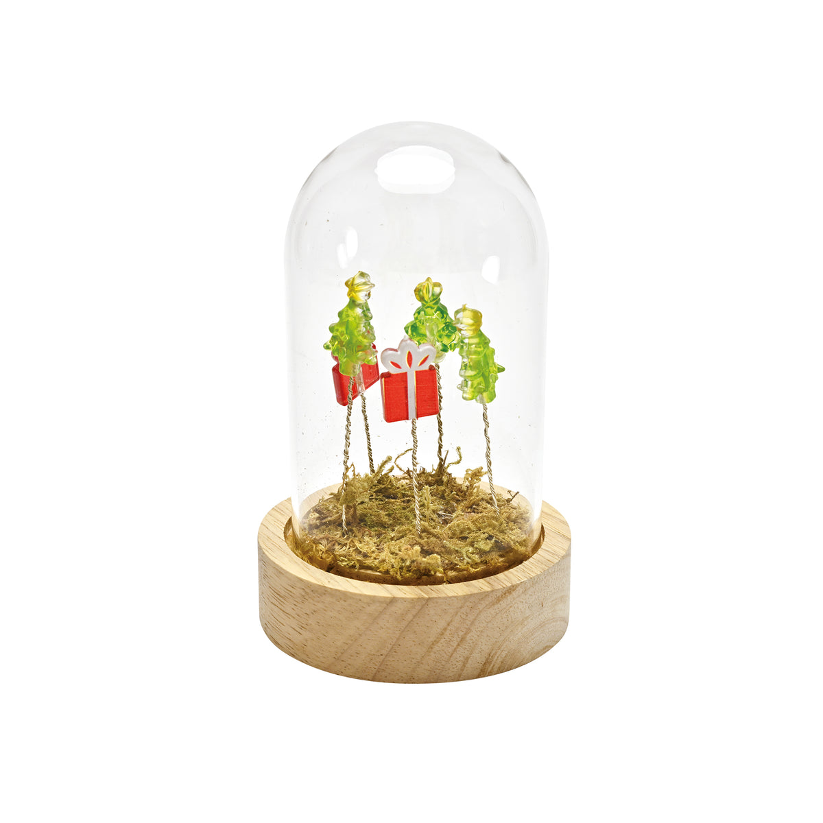 CLOCHE CON BASE IN LEGNO E LED “ALBERI DI NATALE E PACCHI”