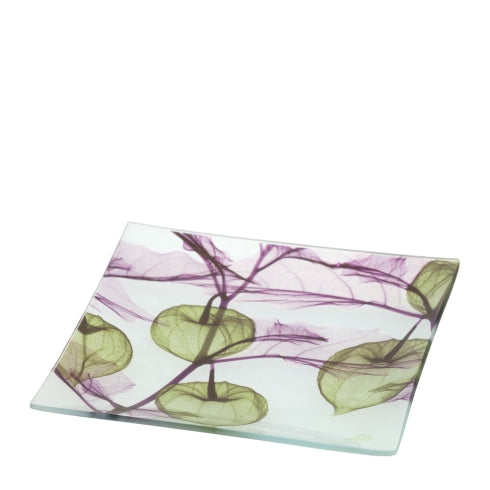 PIATTO VETRO ALKEKENGI VERDE