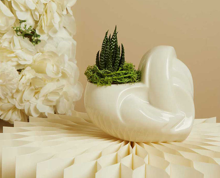 Cuore - Anatomico Diffusore Bianco Medio