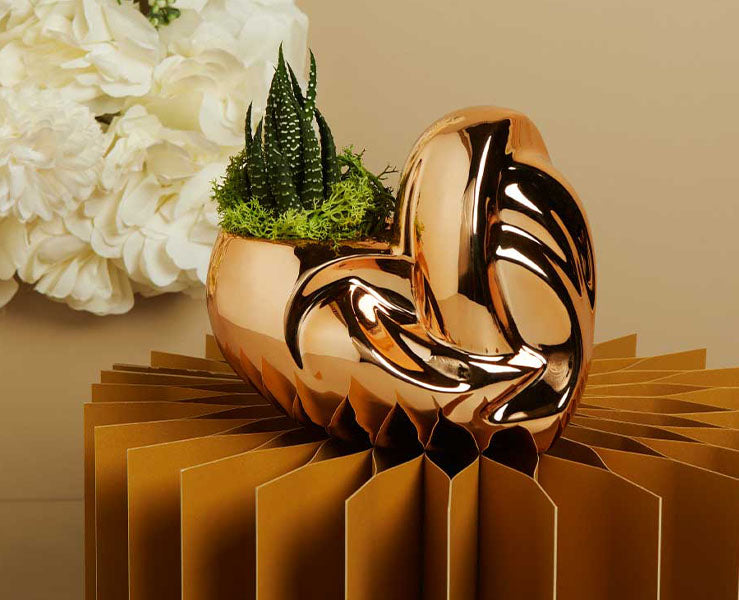 Vaso Cuore Oro Rosa con Piantina Grassa e Muschio