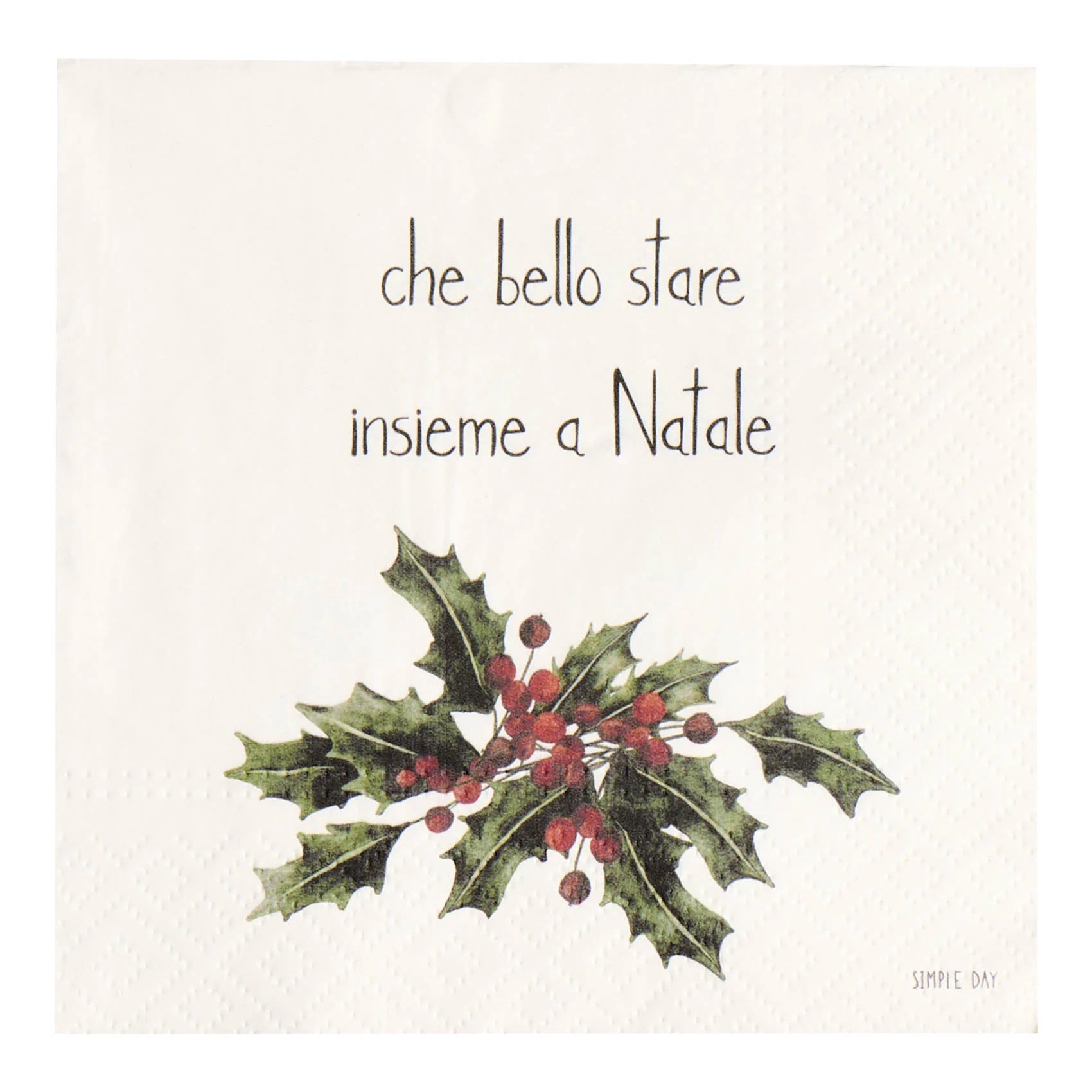 SET 20 TOVAGLIOLI CHE BELLO STARE INSIEME A NATALE